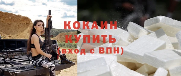 прущие грибы Магадан