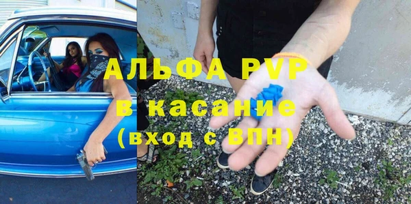 прущие грибы Магадан